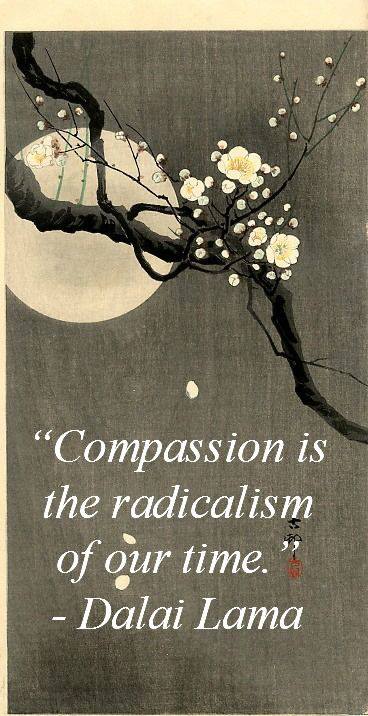 radicalism radicalism
